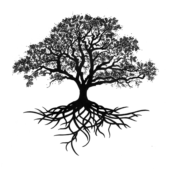 Oak Silhouette Tree Drawing Trees PNG Download Free Transparent PNG Image