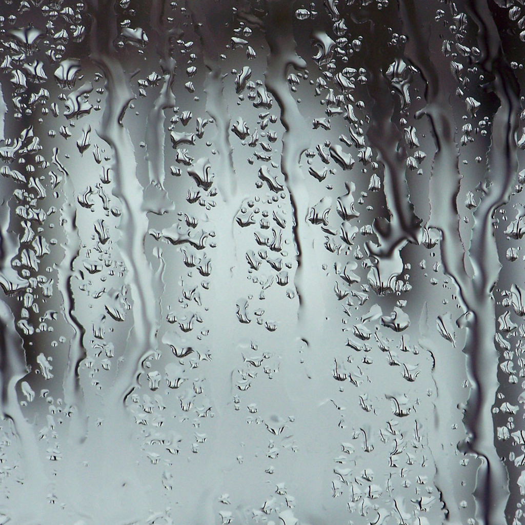 Frost Window Drop Tree Rain Free Download PNG HD Transparent PNG Image