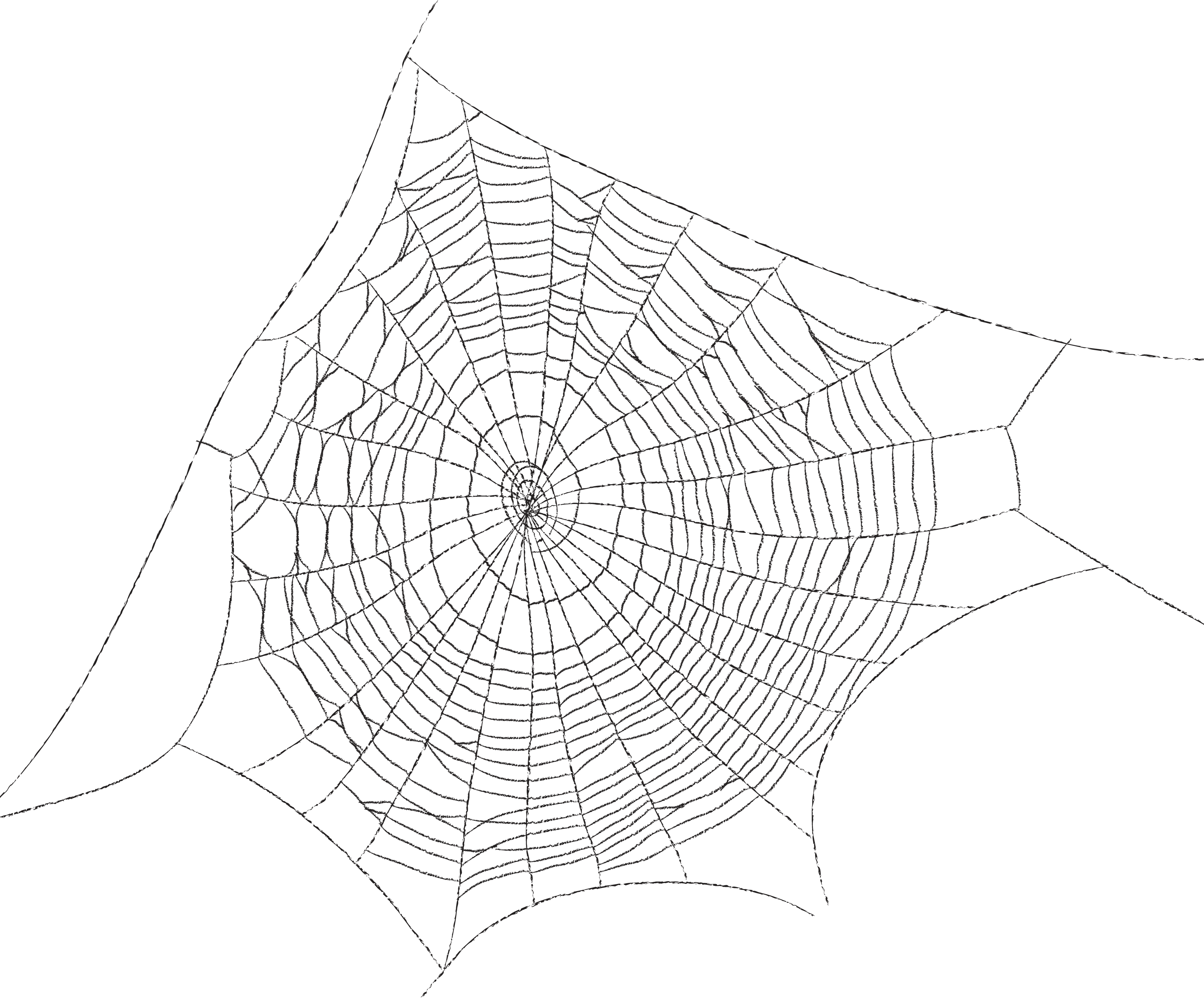 Web Silk Triangle Spider HQ Image Free PNG Transparent PNG Image