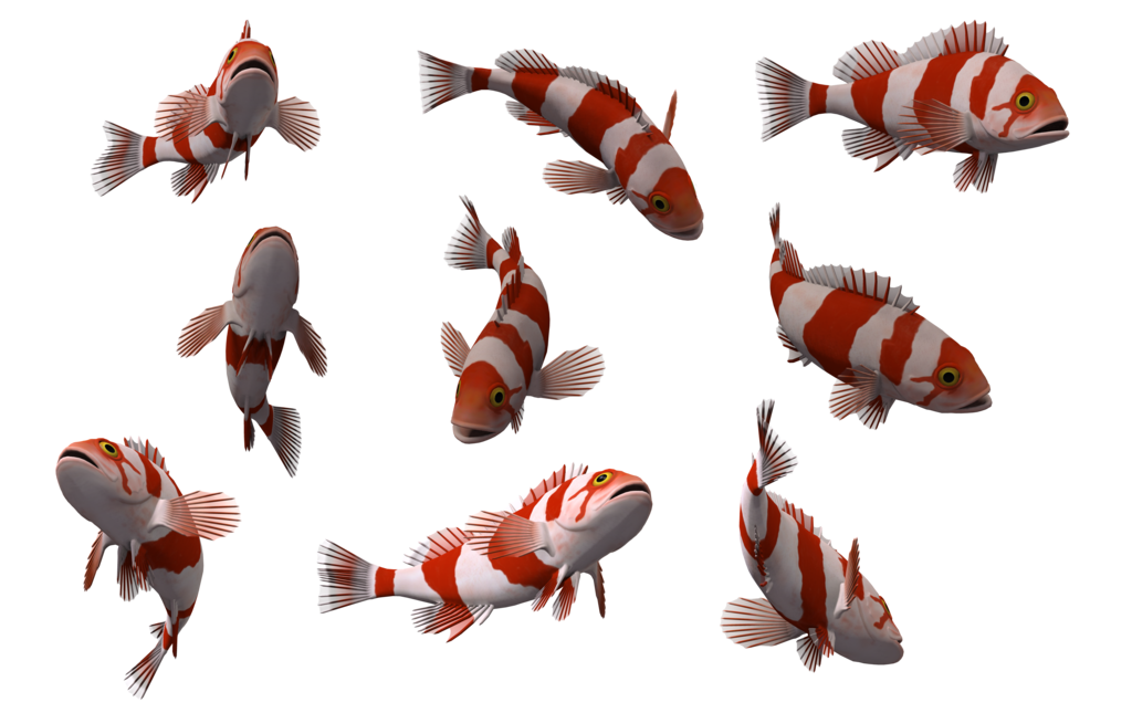 Fish Png 10 Transparent PNG Image