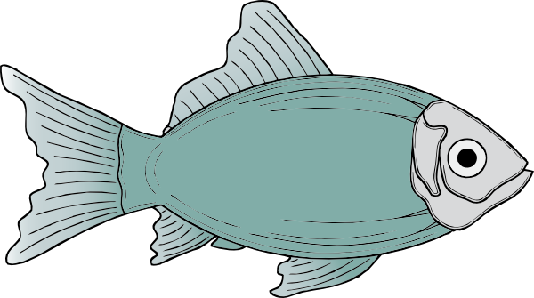 Fish Png Transparent PNG Image