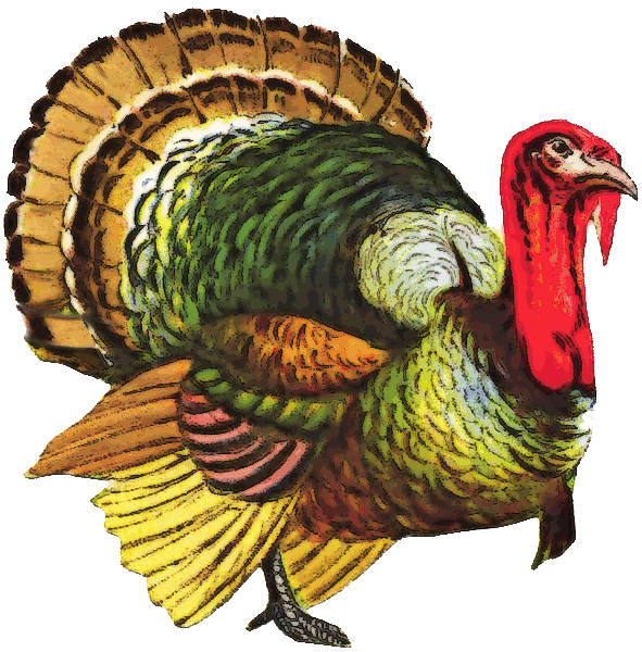 Turkey File Transparent PNG Image