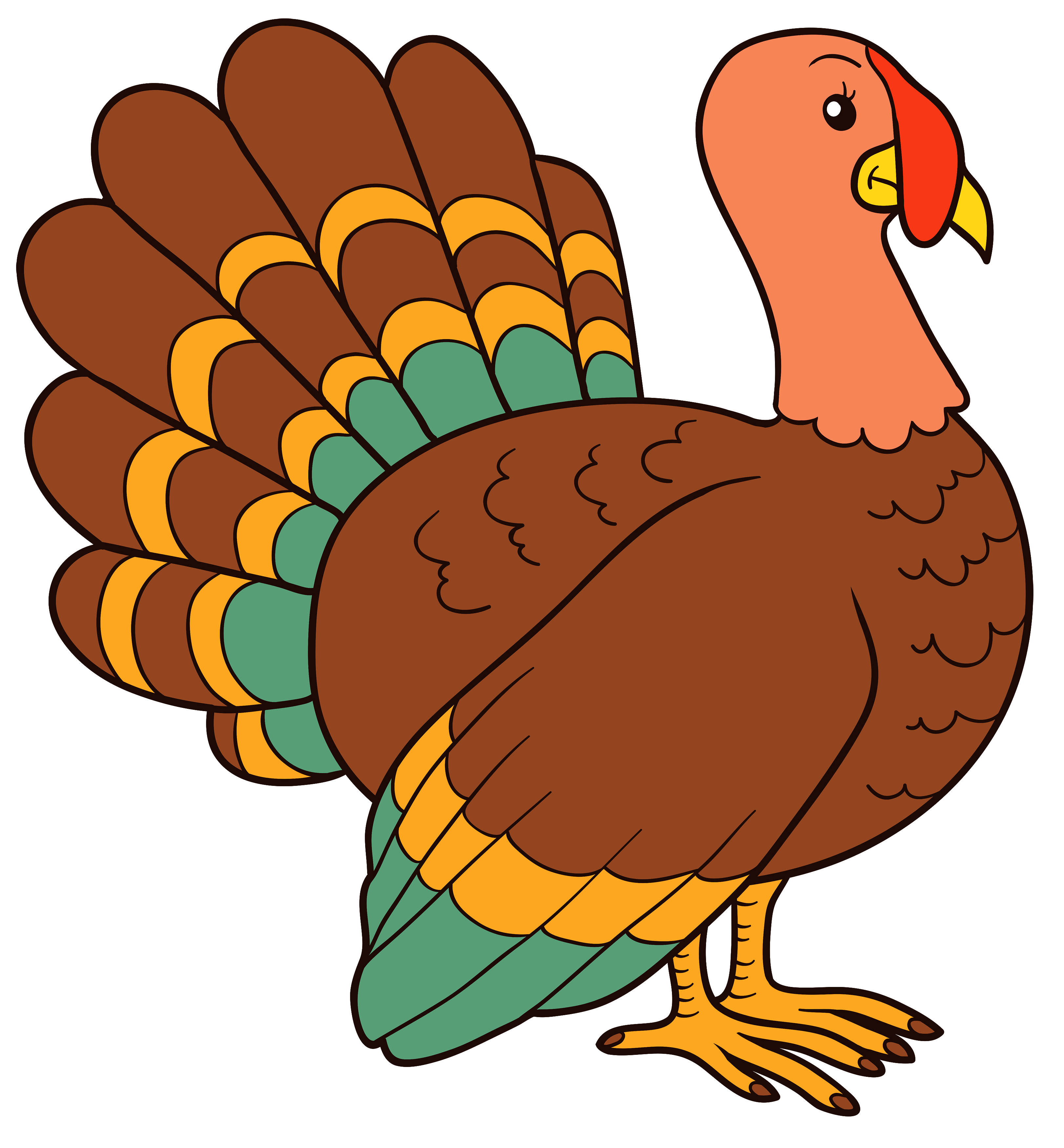 Turkey Image Transparent PNG Image