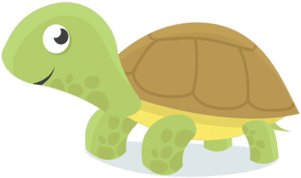 Turtle Green Download HQ Transparent PNG Image