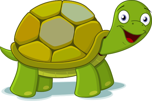 Turtle Pic Green HQ Image Free Transparent PNG Image