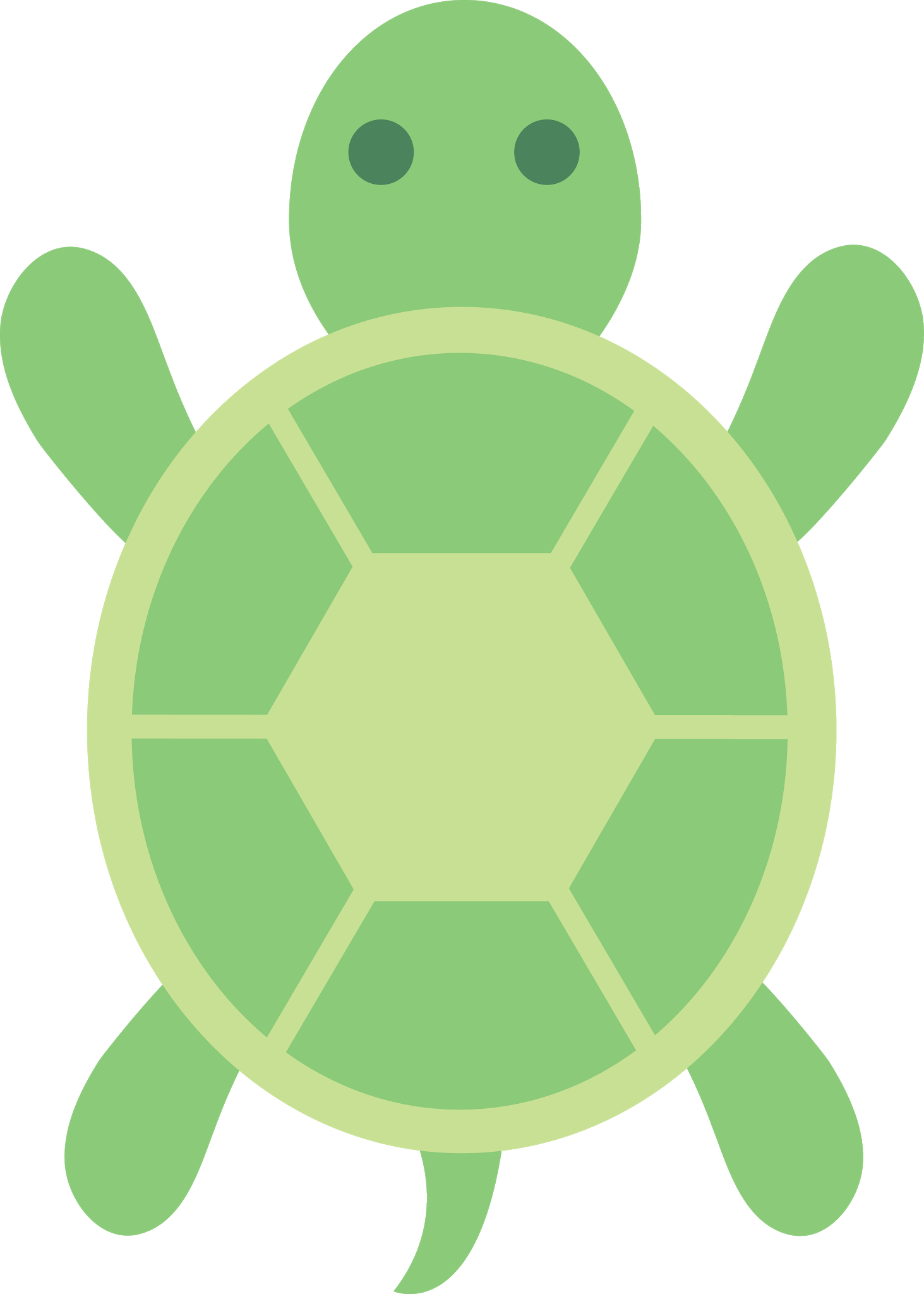 Turtle Green Free HD Image Transparent PNG Image