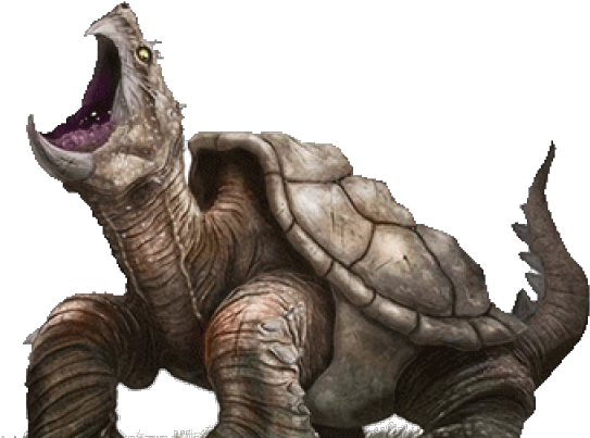 Turtle Free Clipart HD Transparent PNG Image