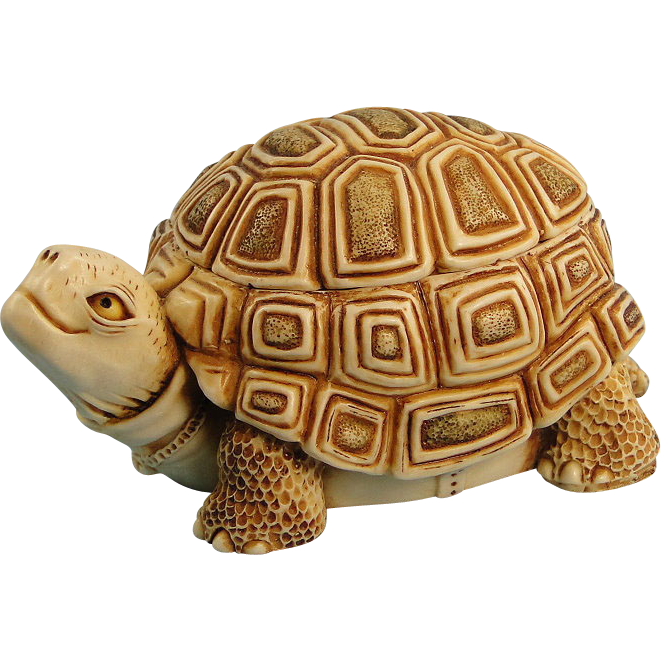 Box Turtle Transparent Background Transparent PNG Image