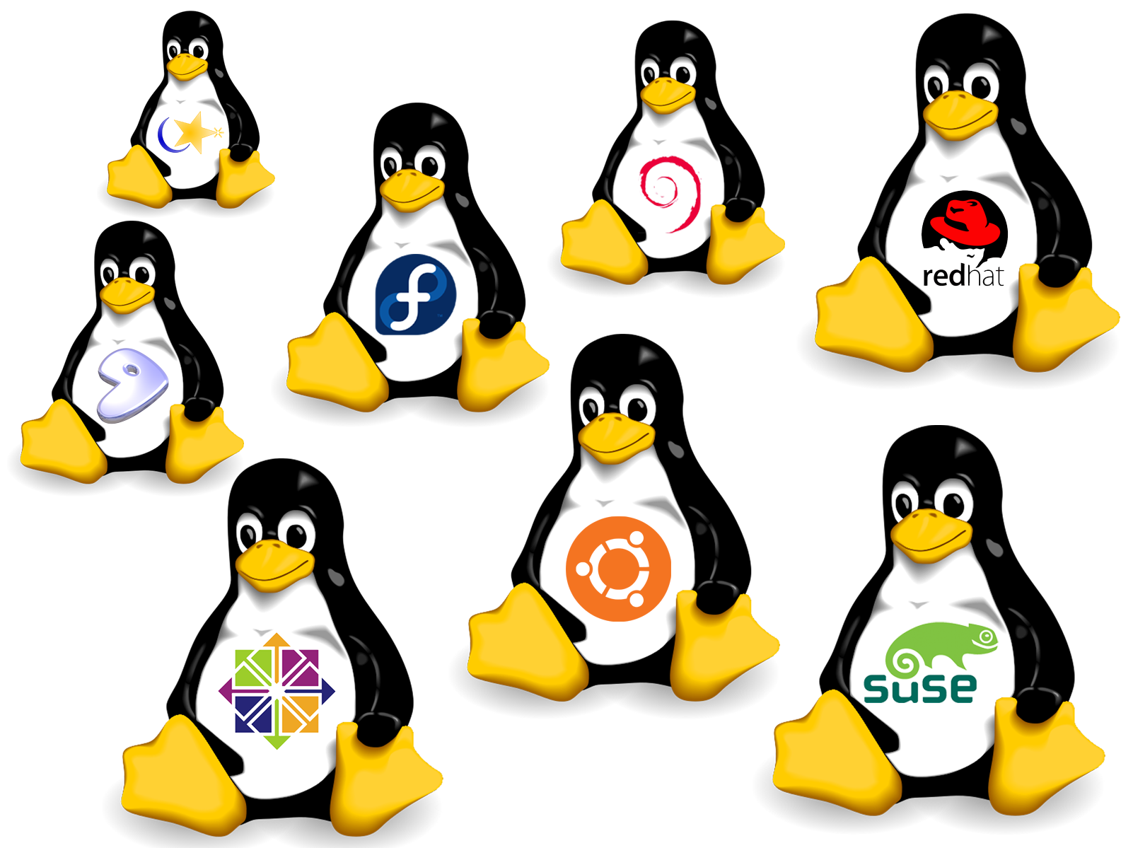 Suse Linux Operating Systems Ubuntu Distributions Transparent PNG Image