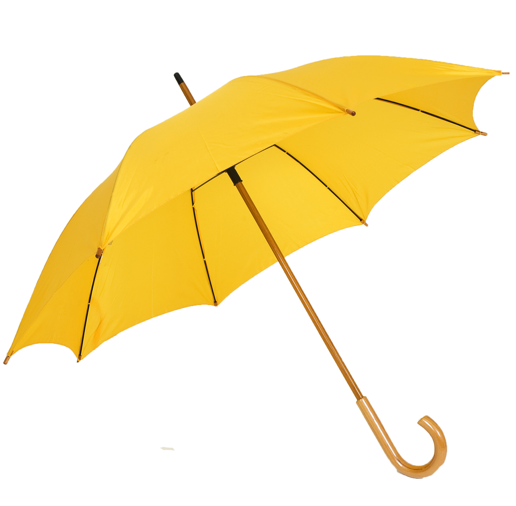 Umbrella Png Transparent PNG Image