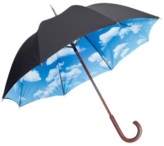 Umbrella Png Picture Transparent PNG Image