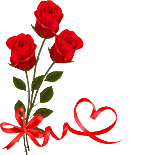 Rose Valentines Love Day Download HQ Transparent PNG Image