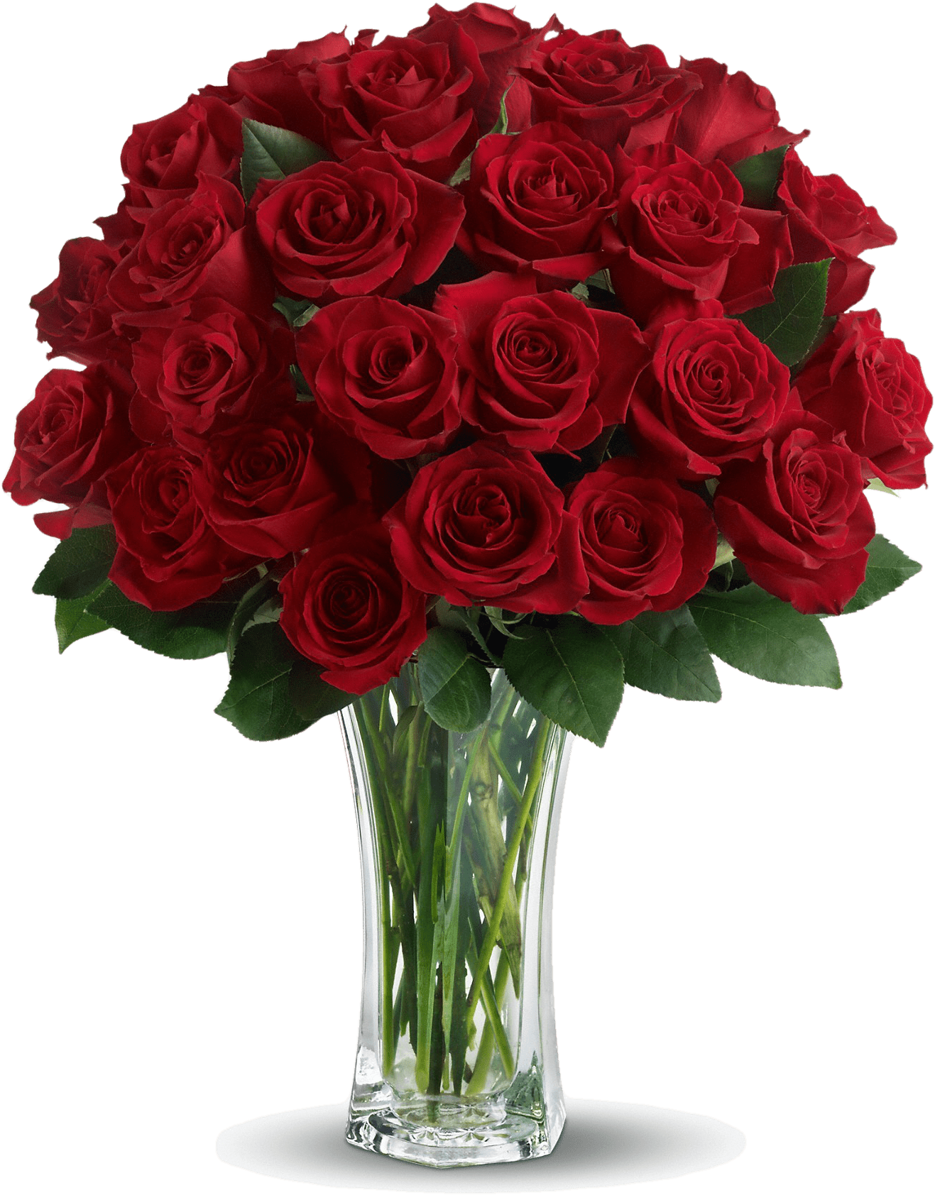 Rose Valentines Day PNG Free Photo Transparent PNG Image