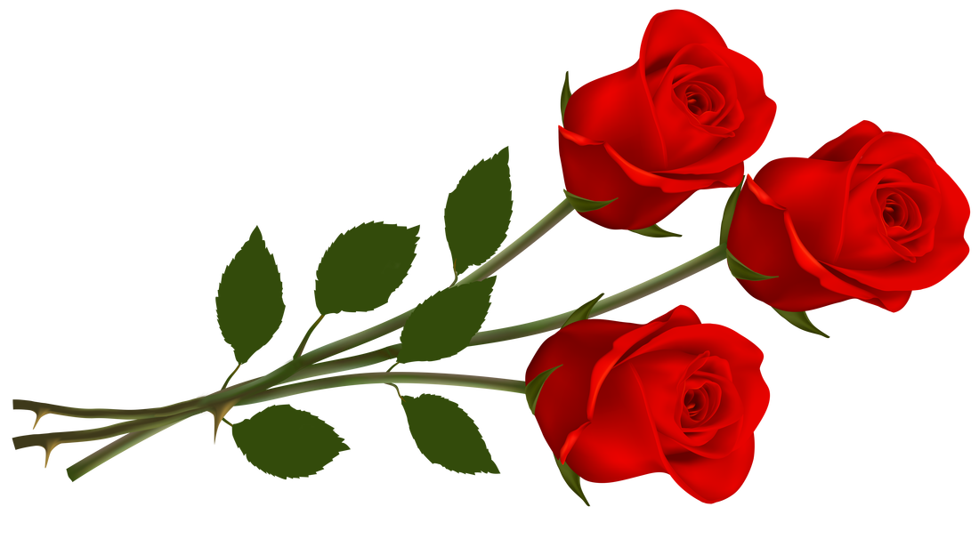 Rose Valentines Day PNG Free Photo Transparent PNG Image