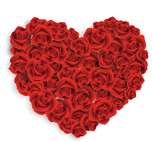 Rose Valentines Day Free HQ Image Transparent PNG Image