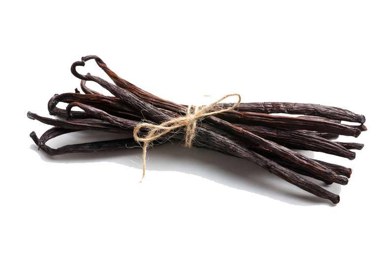 Vanilla Bean Photo Transparent PNG Image