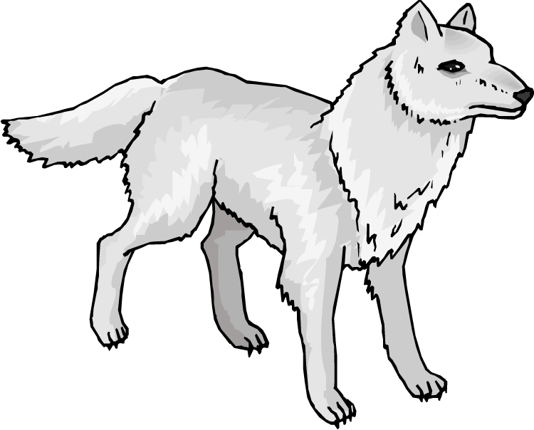 White Vector Fox Arctic HD Image Free Transparent PNG Image