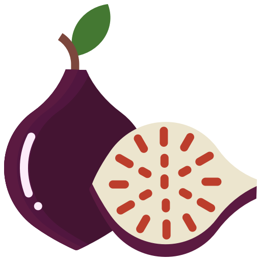 Vector Fig PNG Download Free Transparent PNG Image