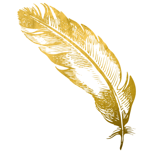 Feather Vector PNG Download Free Transparent PNG Image