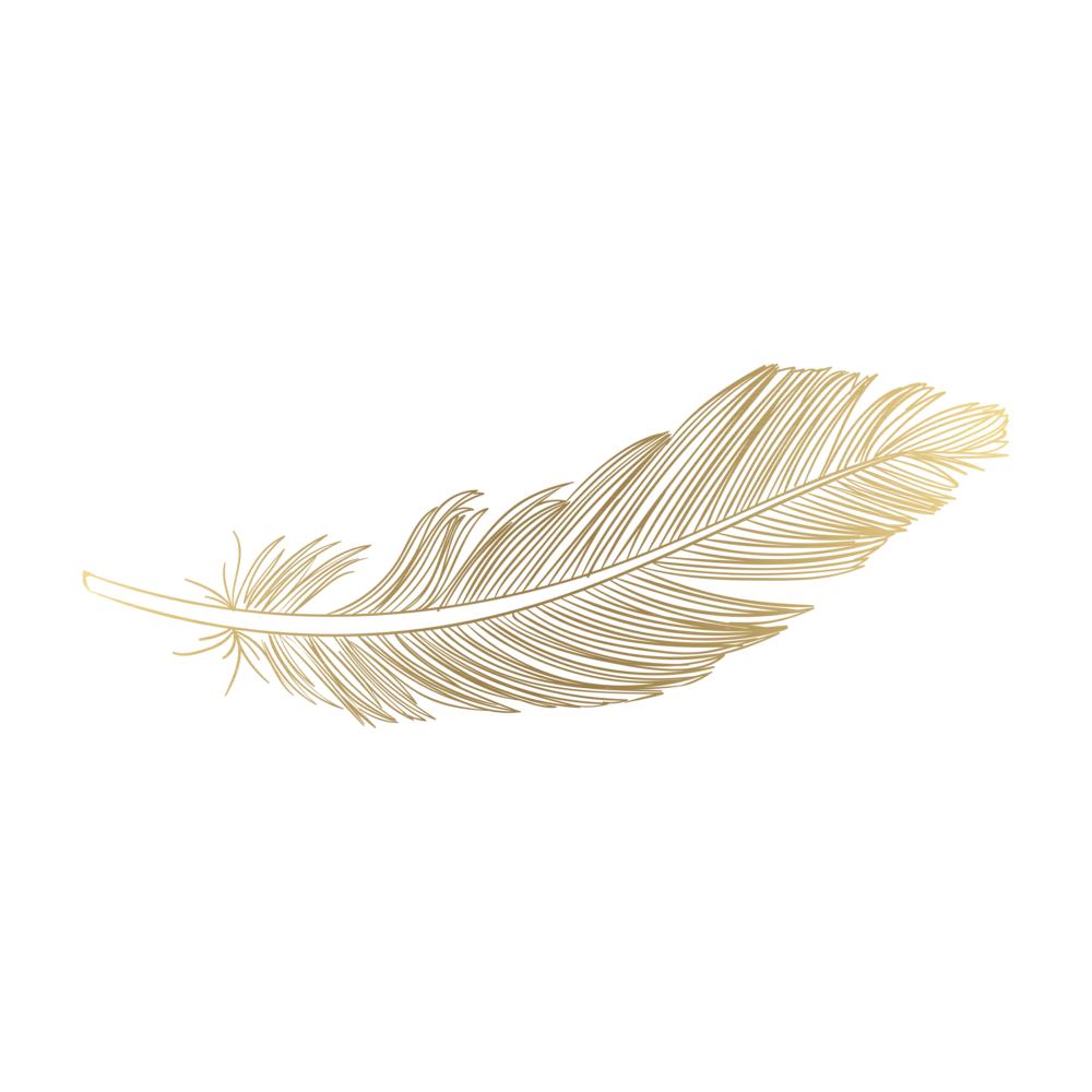 Feather Vector Free HD Image Transparent PNG Image