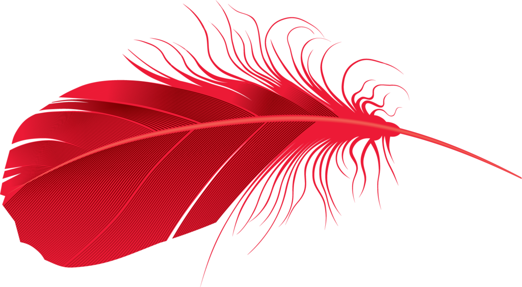 Feather Vector PNG Image High Quality Transparent PNG Image