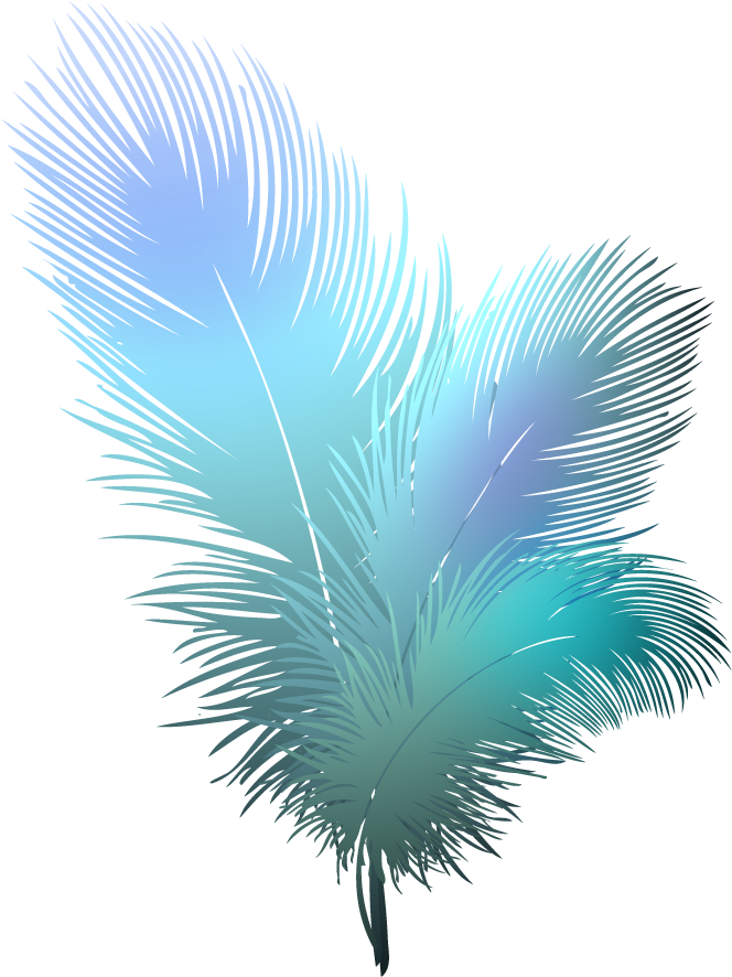 Feather Vector Free Download Image Transparent PNG Image