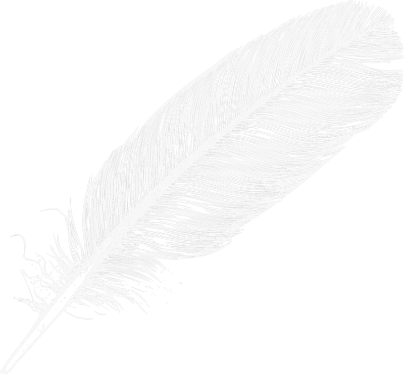 Feather Vector Free Clipart HD Transparent PNG Image