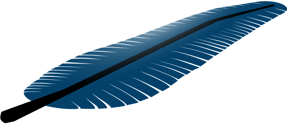 Blue Feather Vector Free HQ Image Transparent PNG Image