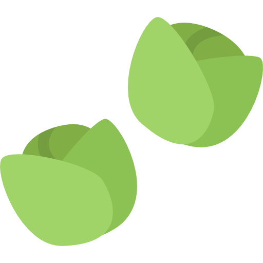 Sprouts Vector Brussels Download Free Image Transparent PNG Image