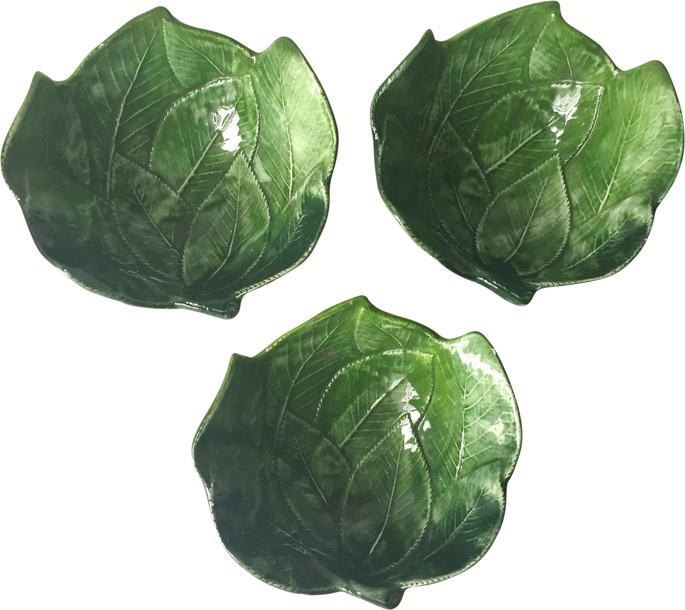 Sprouts Vector Brussels Photos Free Transparent Image HQ Transparent PNG Image