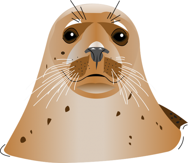 Harbor Vector Seal Free Clipart HD Transparent PNG Image