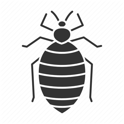 Vector Bug Bed Free Download PNG HD Transparent PNG Image