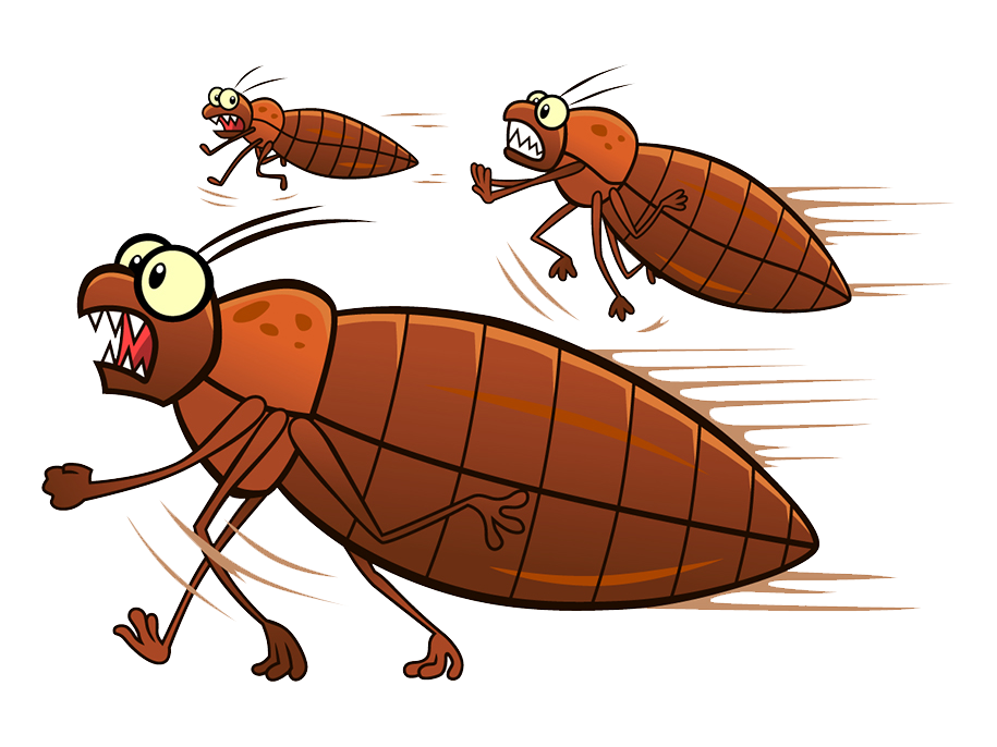 Vector Bug Bed Free Clipart HD Transparent PNG Image