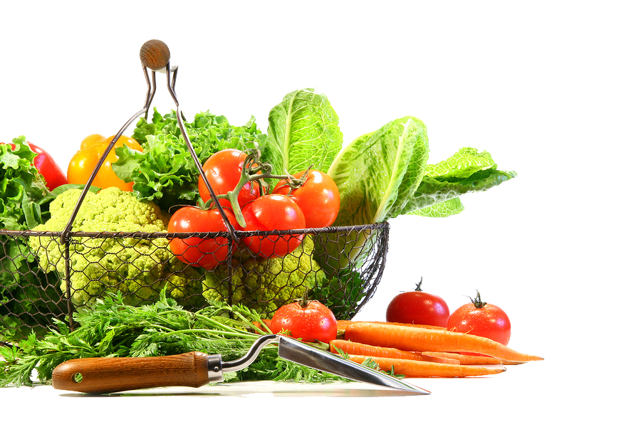 Vegetable Png Image Transparent PNG Image