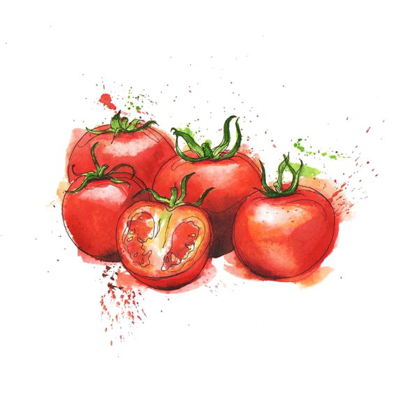 Tomato Cuisine Organic Food Juice Bush Italian Transparent PNG Image