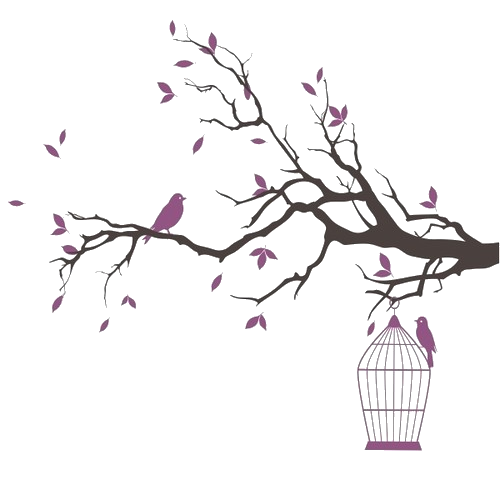 Pink Birdcage Plant Cage Bird PNG Image High Quality Transparent PNG Image