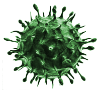 Virus Png Clipart Transparent PNG Image