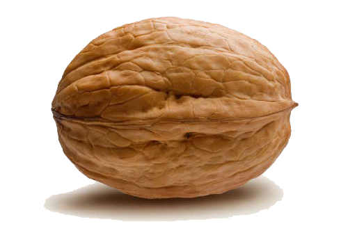 Walnut Png Transparent PNG Image