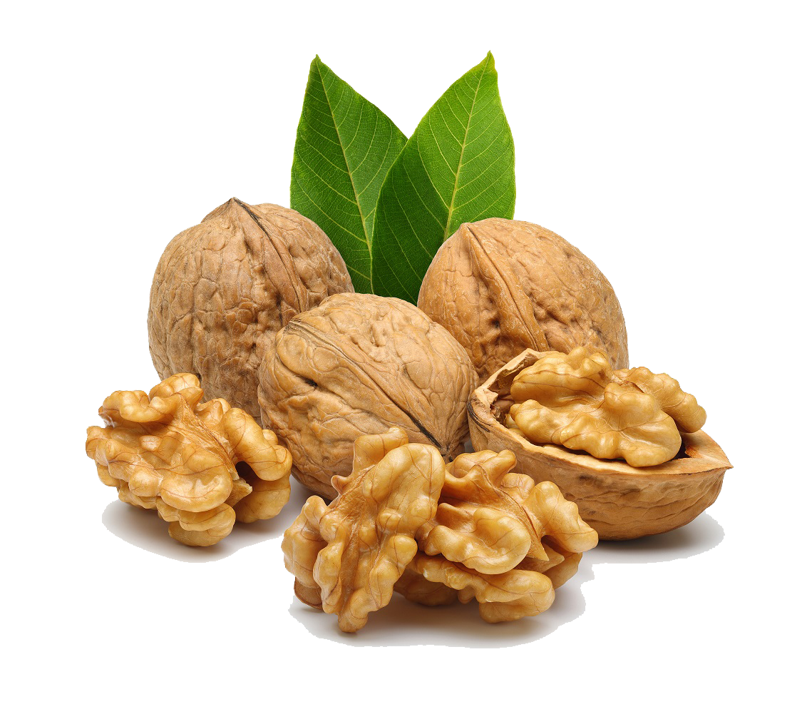 Walnut Picture Transparent PNG Image