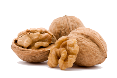 Walnut Png Pic Transparent PNG Image