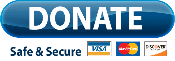 Paypal Donate Button Image Download HQ PNG Transparent PNG Image