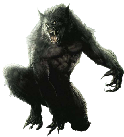 Werewolf Transparent Background Transparent PNG Image