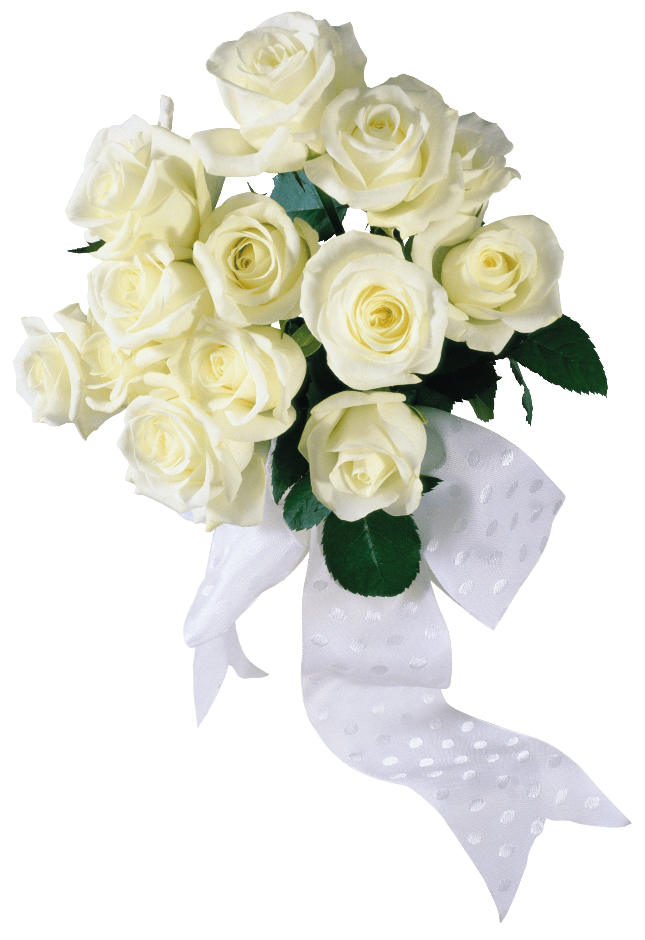 White Roses Png Image Transparent PNG Image