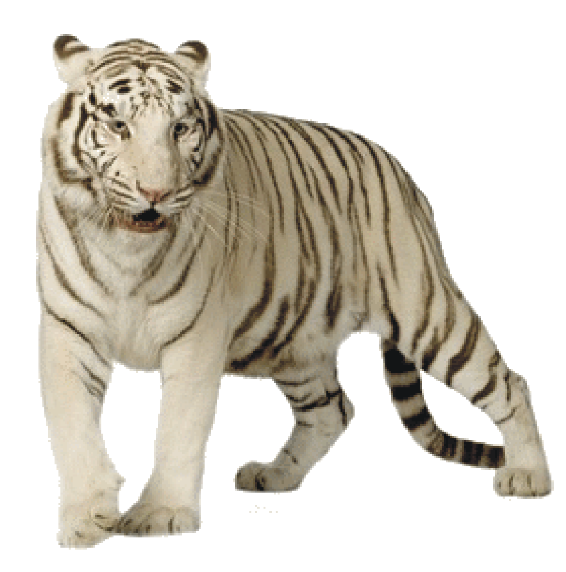 White Tiger Picture Transparent PNG Image