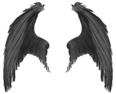 Wings Transparent Image Transparent PNG Image