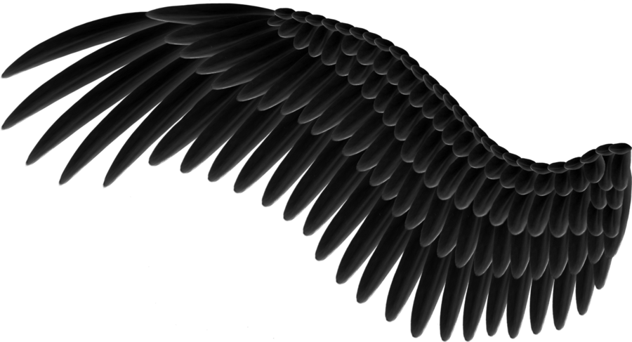 Wings Transparent PNG Image