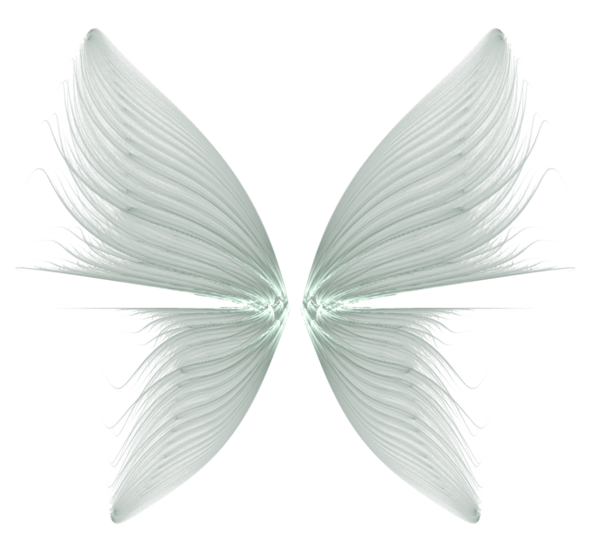 Wings Transparent Background Transparent PNG Image