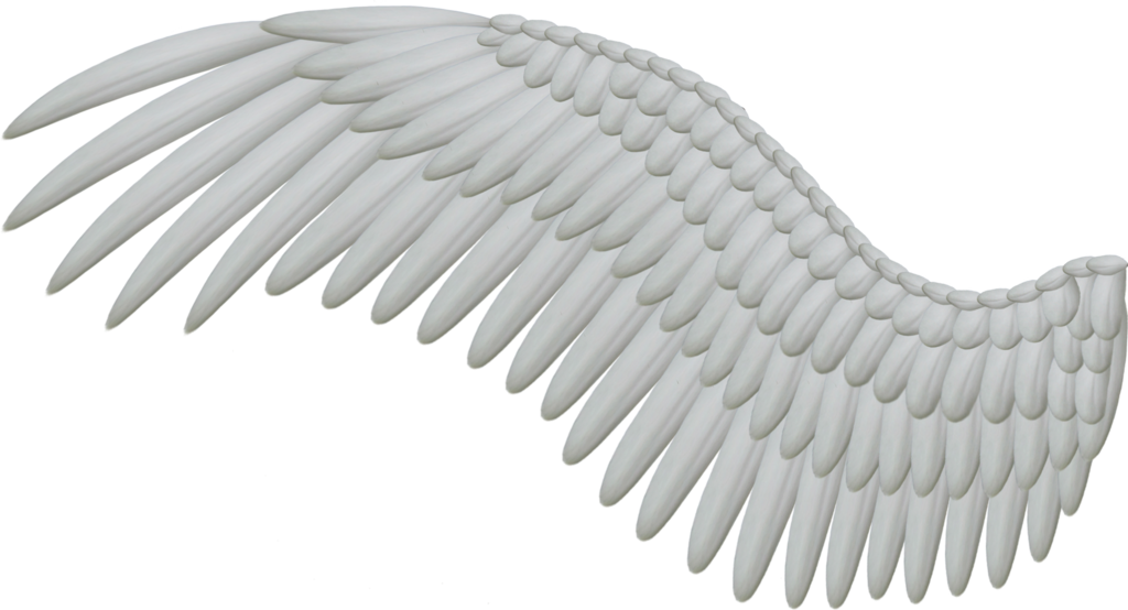 Wings Hd Transparent PNG Image