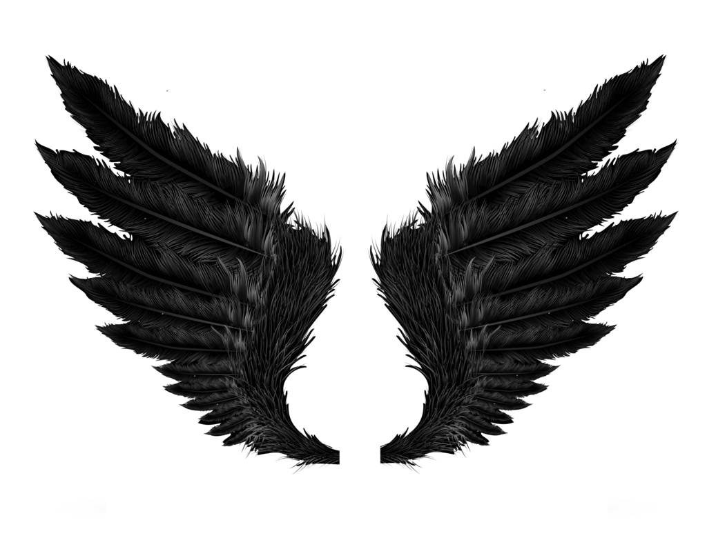 Wings Clipart Transparent PNG Image