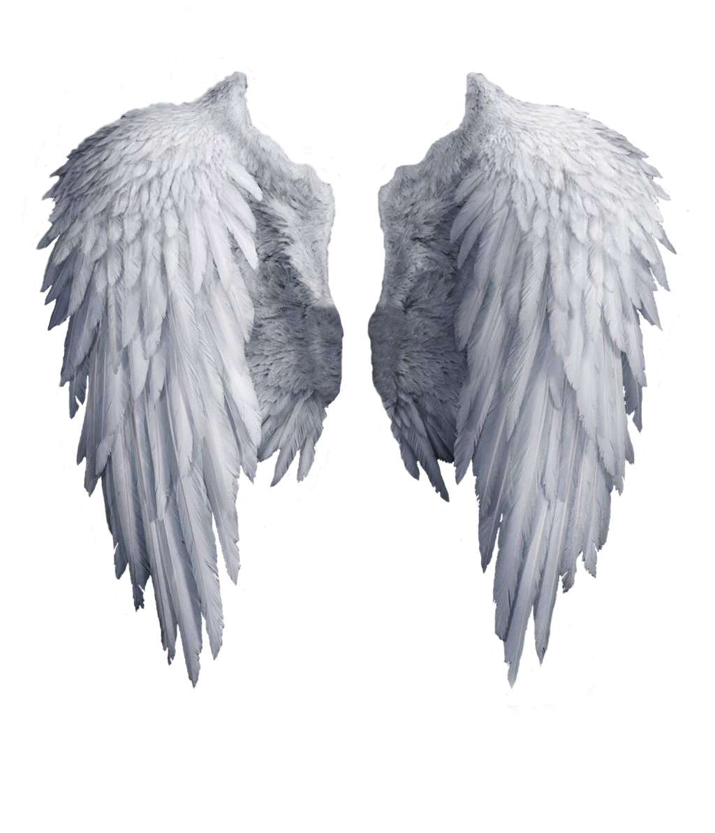 Wings Image Transparent PNG Image